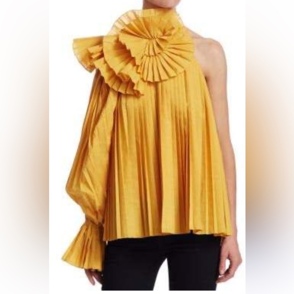 ROSIE ASSOLIN PLEATED ONE SHOULDER ESCARGOT TOP ASYMMETRICAL 2 - Picture 2 of 8